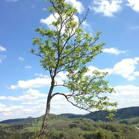 Albena Dolni Prysk